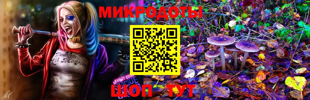 Псилоцибиновые грибы Psilocybine cubensis Озёрск